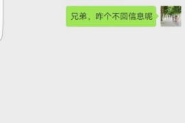 滨湖为什么选择专业追讨公司来处理您的债务纠纷？
